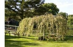 Elm Farm Country House : Gardens and pond